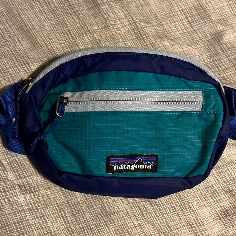 NWOT Patagonia belt bag